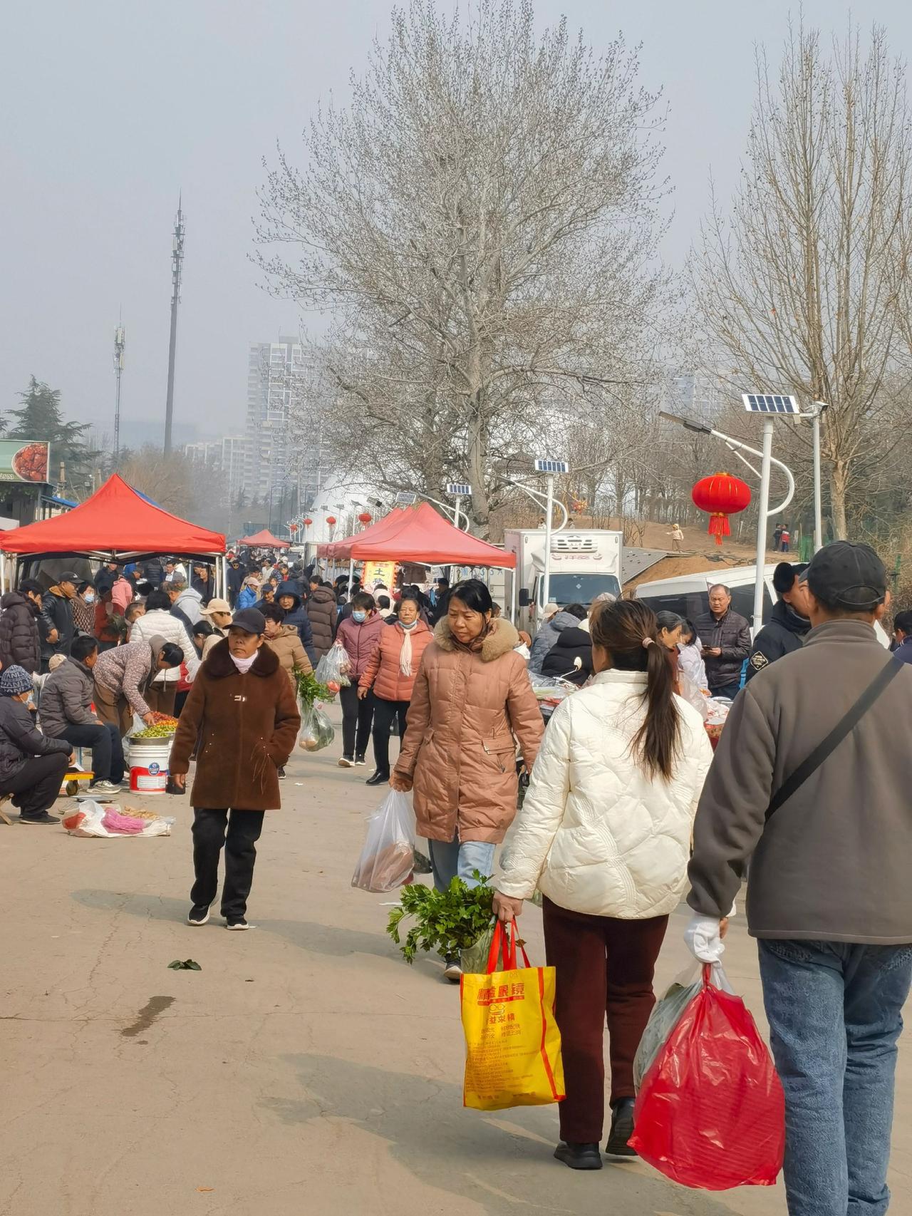 喜鹊麦田攒起的官庄大集，有特色