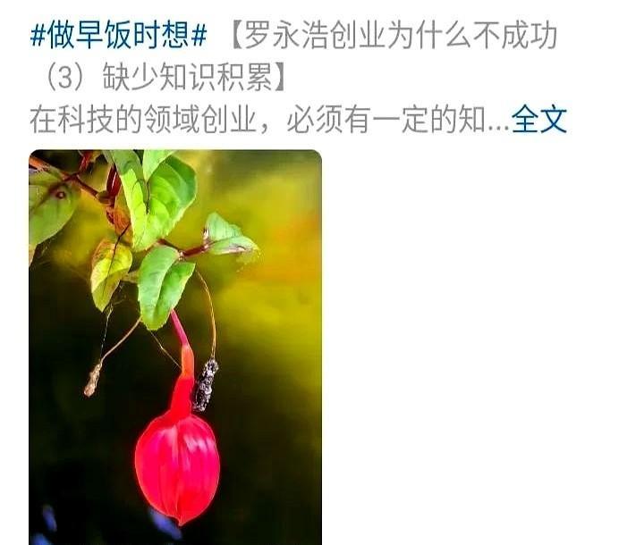 当有人甩出“我收入比99%的人都高”时，辩论已经结束了。
别天真了，这不是观点交