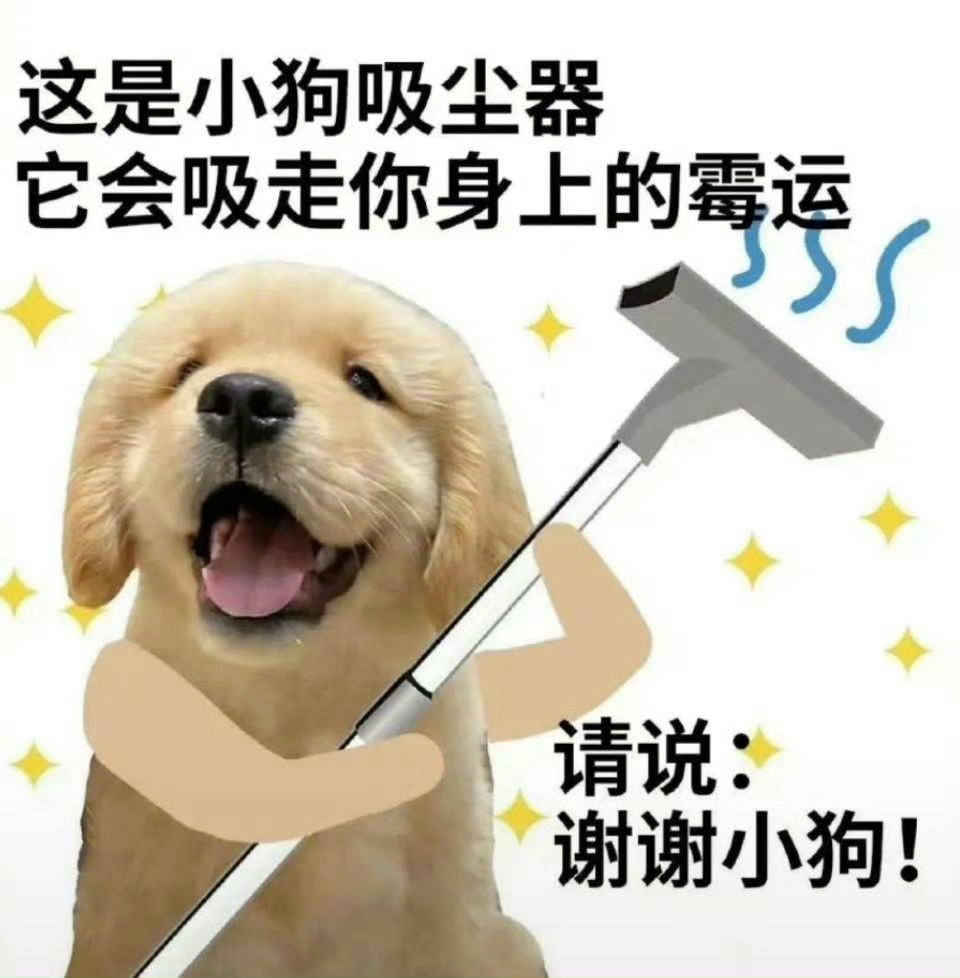 七月的小狗吸尘器来了！ 
