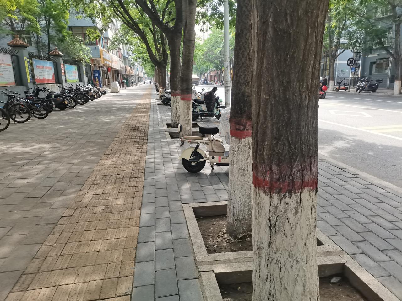老家邻居老奶奶，89岁了还在种地卖菜，一年到头想吃口肉都困难，她大儿子在工地上砌