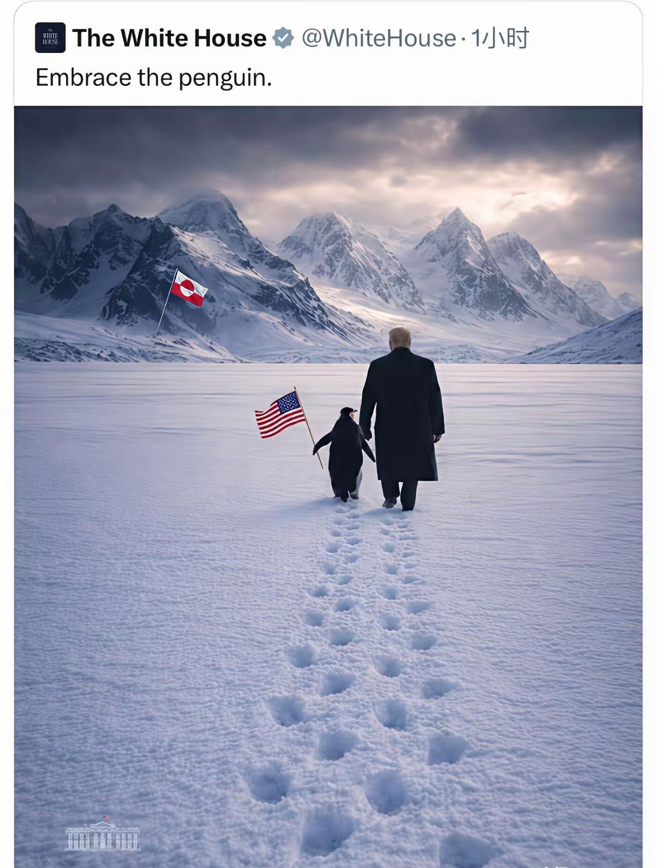 白宫发出了一张图，却笑翻了全世界！图上的配文是，“拥抱这只企鹅”。很多人笑得合不