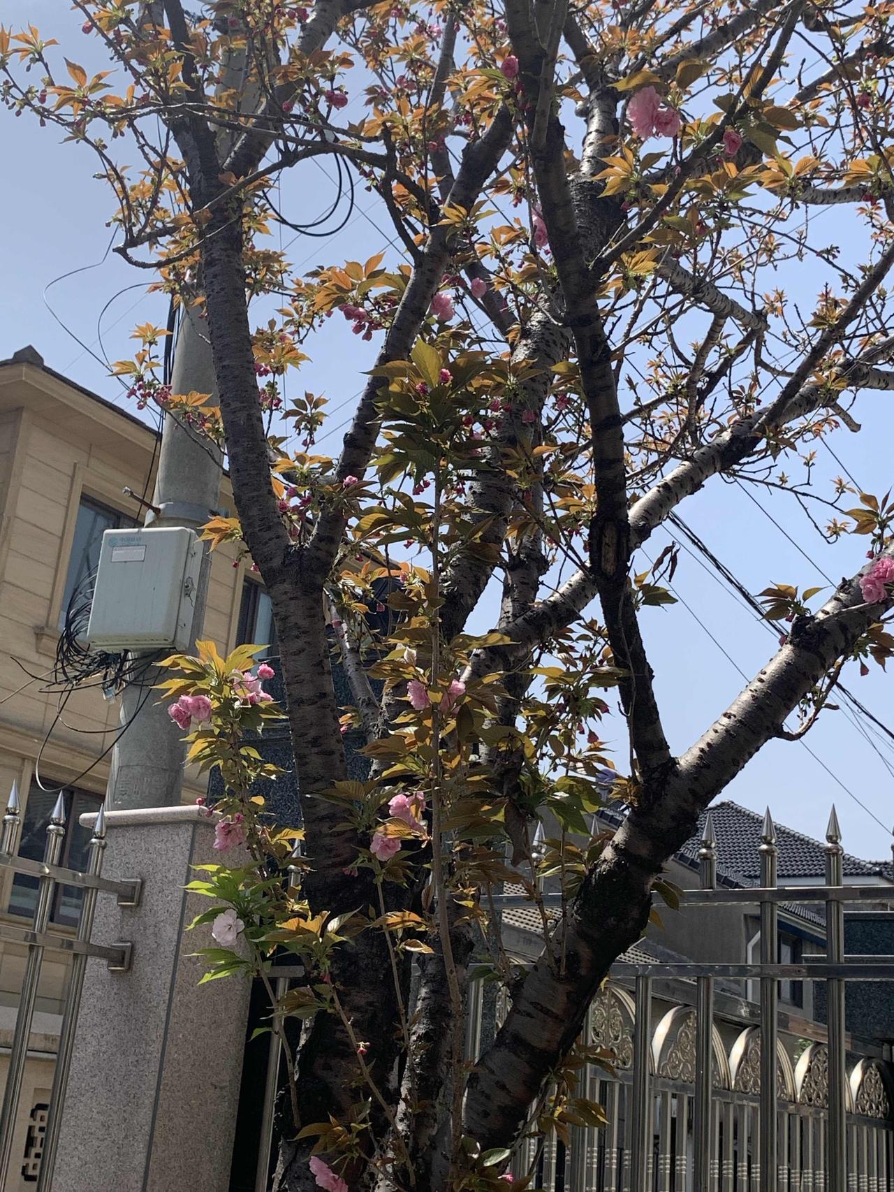 属马的人就像草原上自由驰骋的骏马，有着独特的魅力。他们热情大方，心里藏不住事儿，