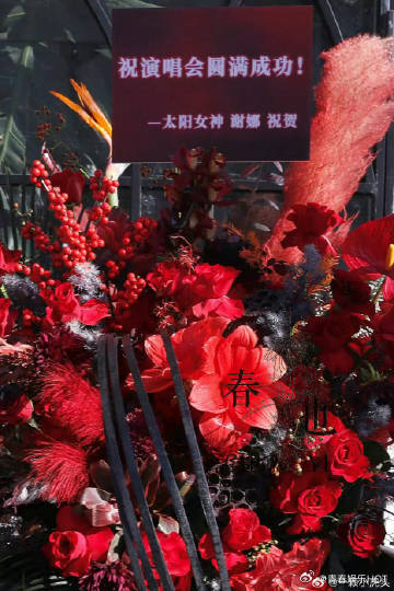 谢娜给肖战南京演唱会送的花篮谢娜送肖战演唱会的红色花篮刷到谢娜送给肖战演唱会的红