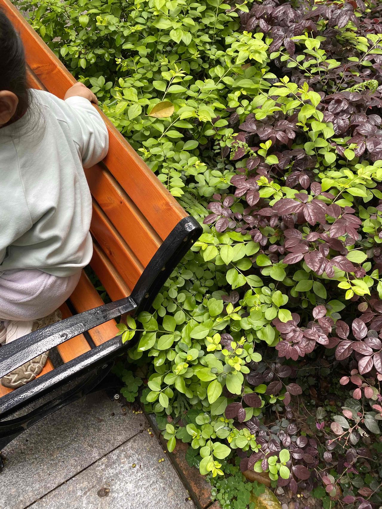 告诉你一个真相！
人可以浪费时间在任何事情上，包括打牌，游手好闲，但唯独不能把时