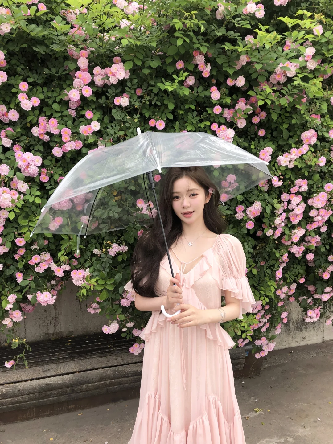 ˚‧🎼₊⁺ 蔷薇盛开的初夏 🌸