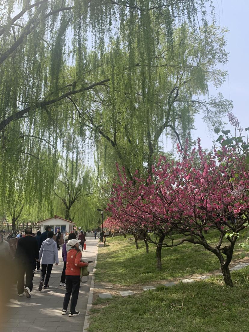 我的今日状态：😁轻松愉快
我这里的天气：☀️晴天