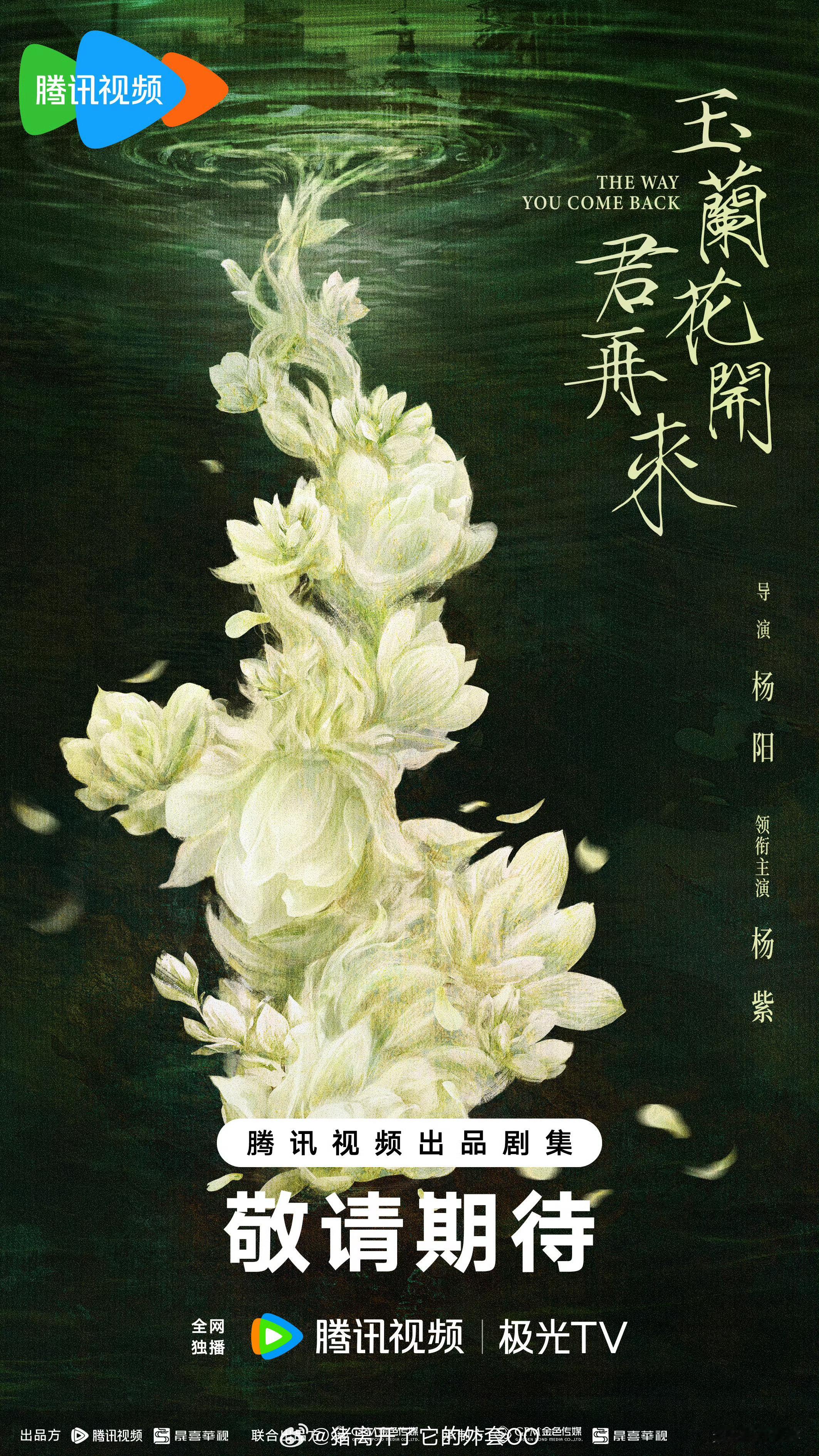 玉兰花开君再来官宣杨紫杨紫《玉兰花开君再来》单人官宣，大女主剧！！[打call]