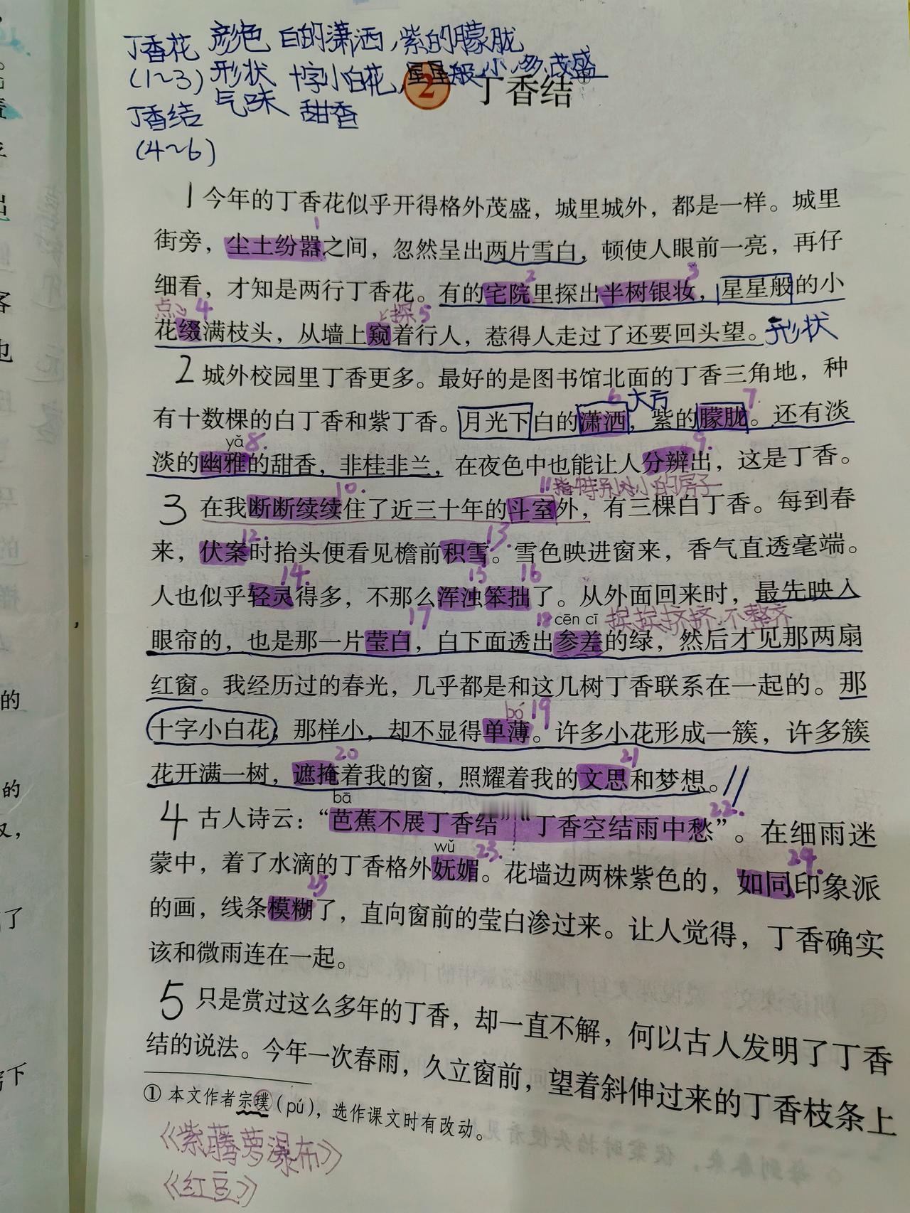 周四，无作业日，
风吹来自由的味道。

琪同学扒几口菜，
就和同学赴约玩去了。
