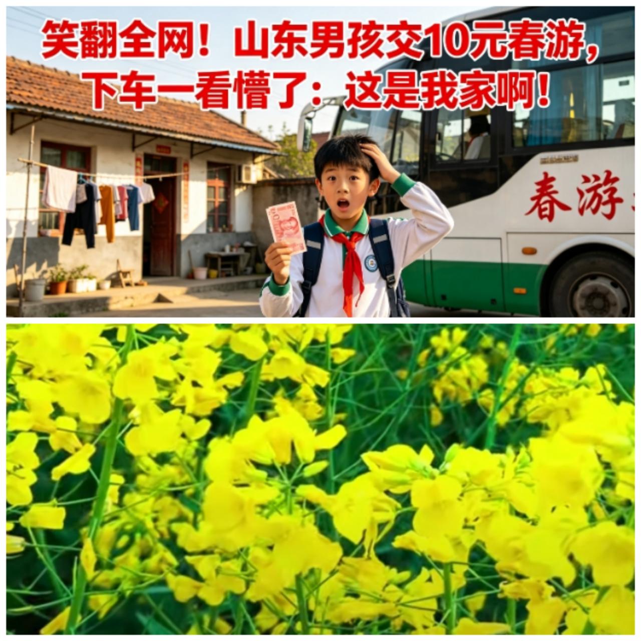 笑喷！春游坐大巴绕一圈，终点竟是我家油菜花田，10块钱白交了！
 
2026年4