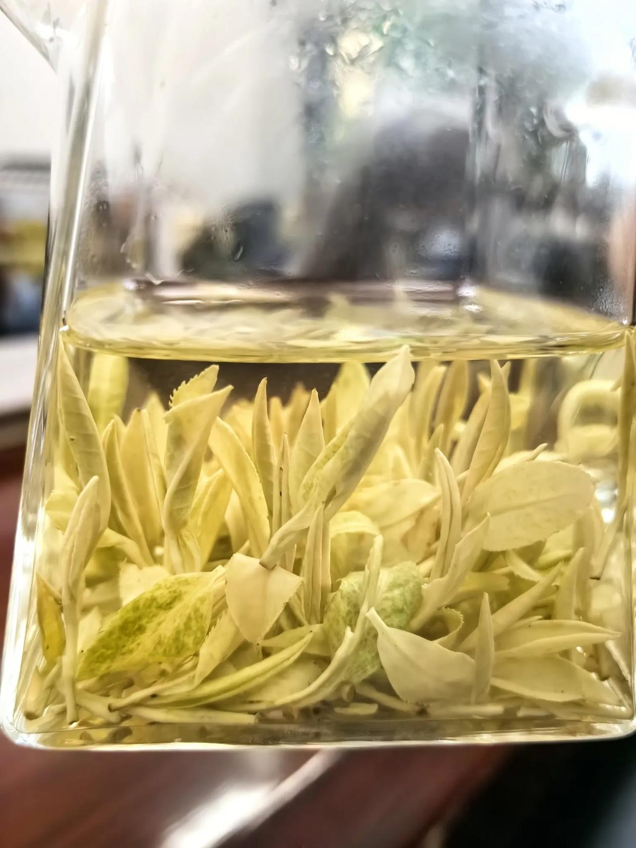 上午喝建德苞茶，真白啊[可爱]
