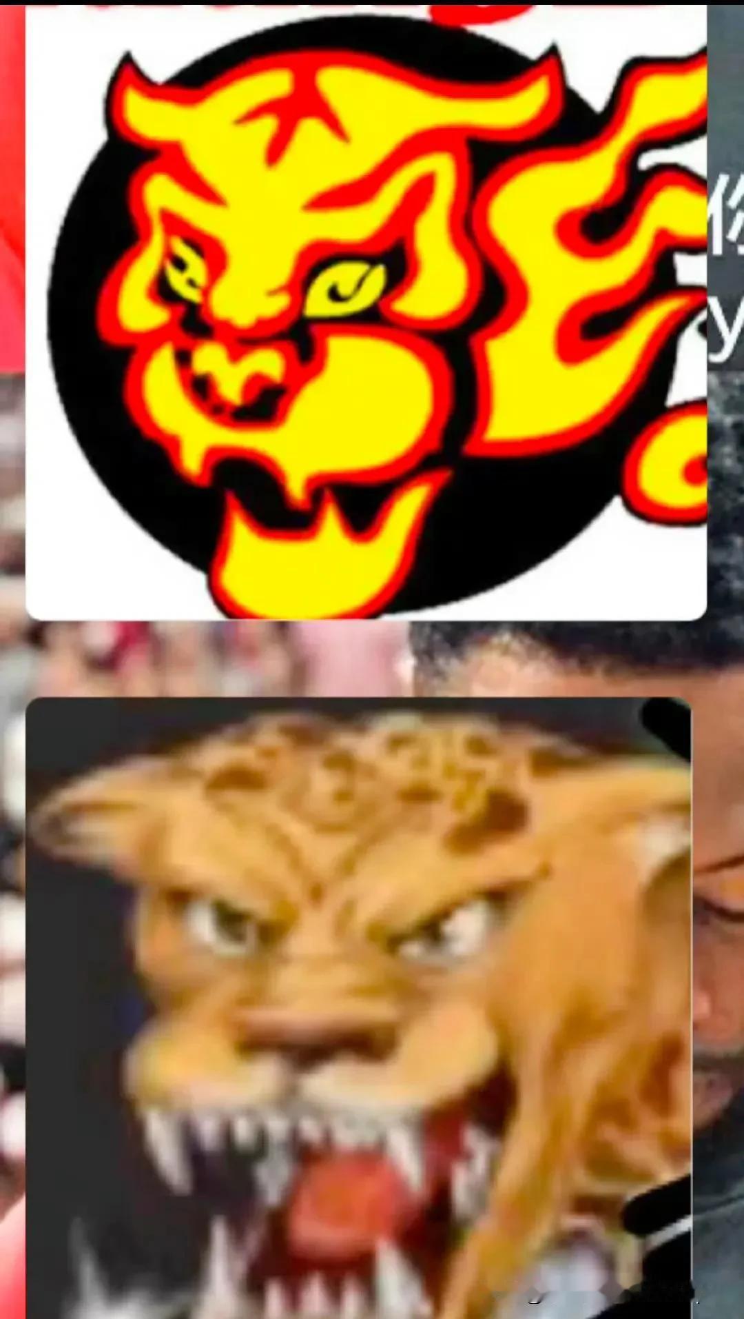 辽宁男篮这冠军T上的豹子有点“撞脸”广东华南虎吧，有可能是广东之前设计的没用上，