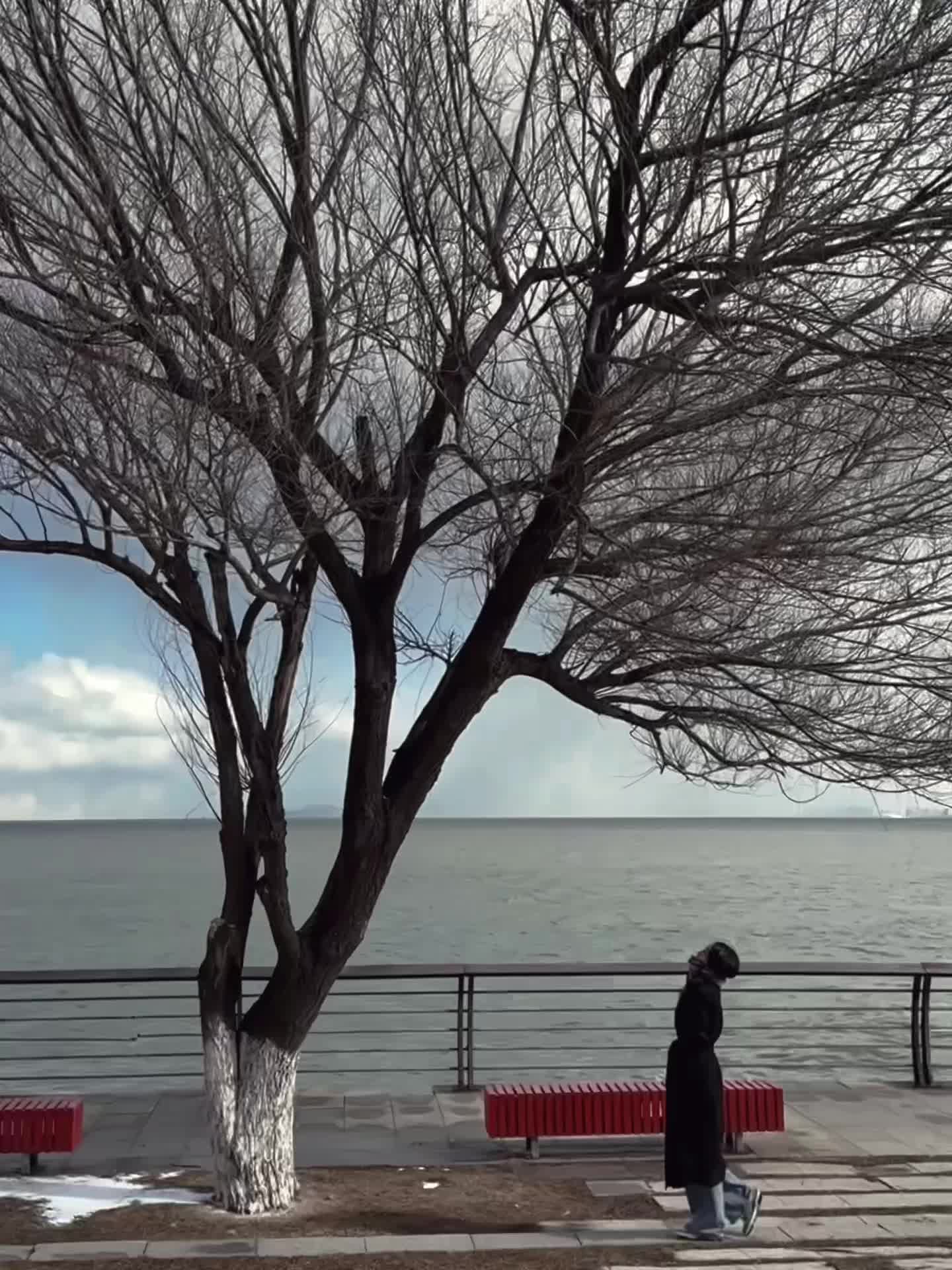尽兴而归  即做野草也做玫瑰