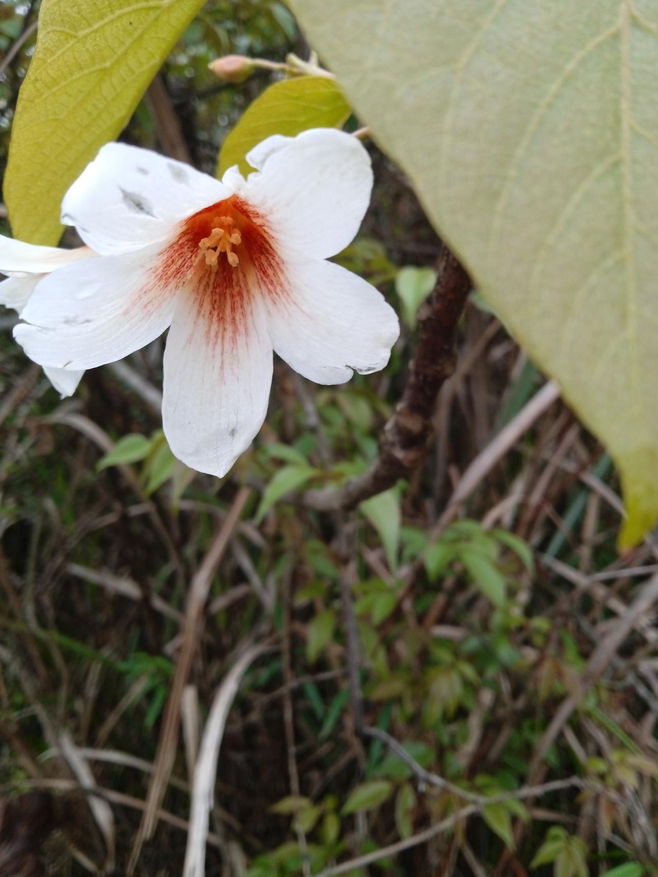 “实在撑不住的时候，就只管好今天，别想太远的未来，别愁没发生的事。”
七八十岁的