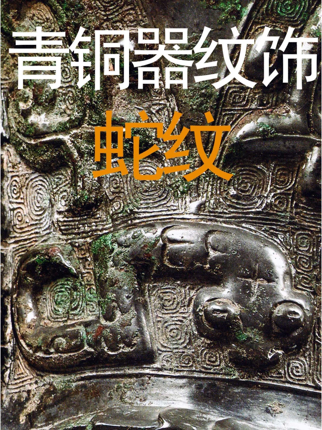 西周早期特有纹饰“卷尾探首”蛇纹。