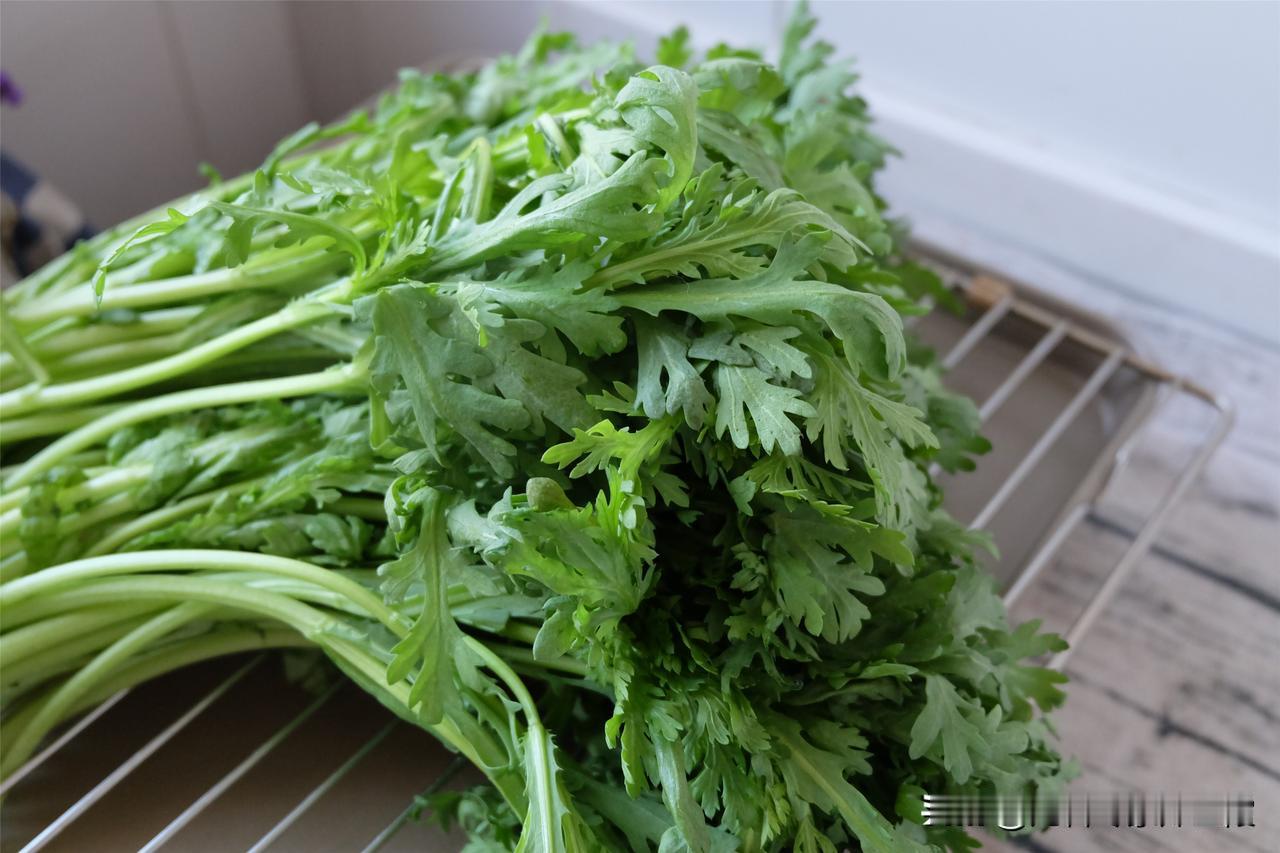 春季助力孩子长高，这些食物不可少！
 
1. 菠菜
菠菜包含大量的钙和铁，同时富