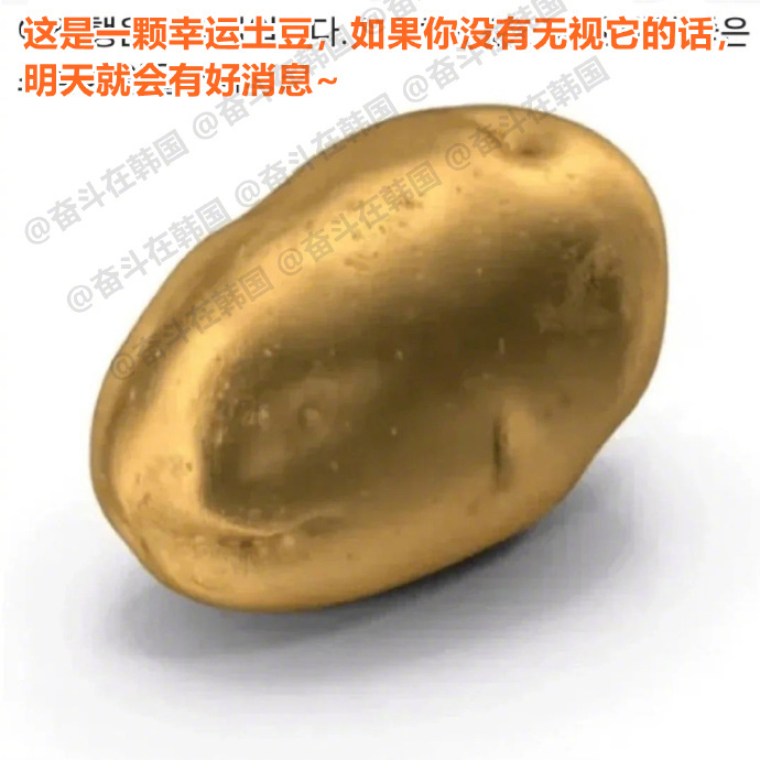 这是一颗幸运土豆，如果你没有无视它的话，明天就会有好消息~ 海外新鲜事 热点现场