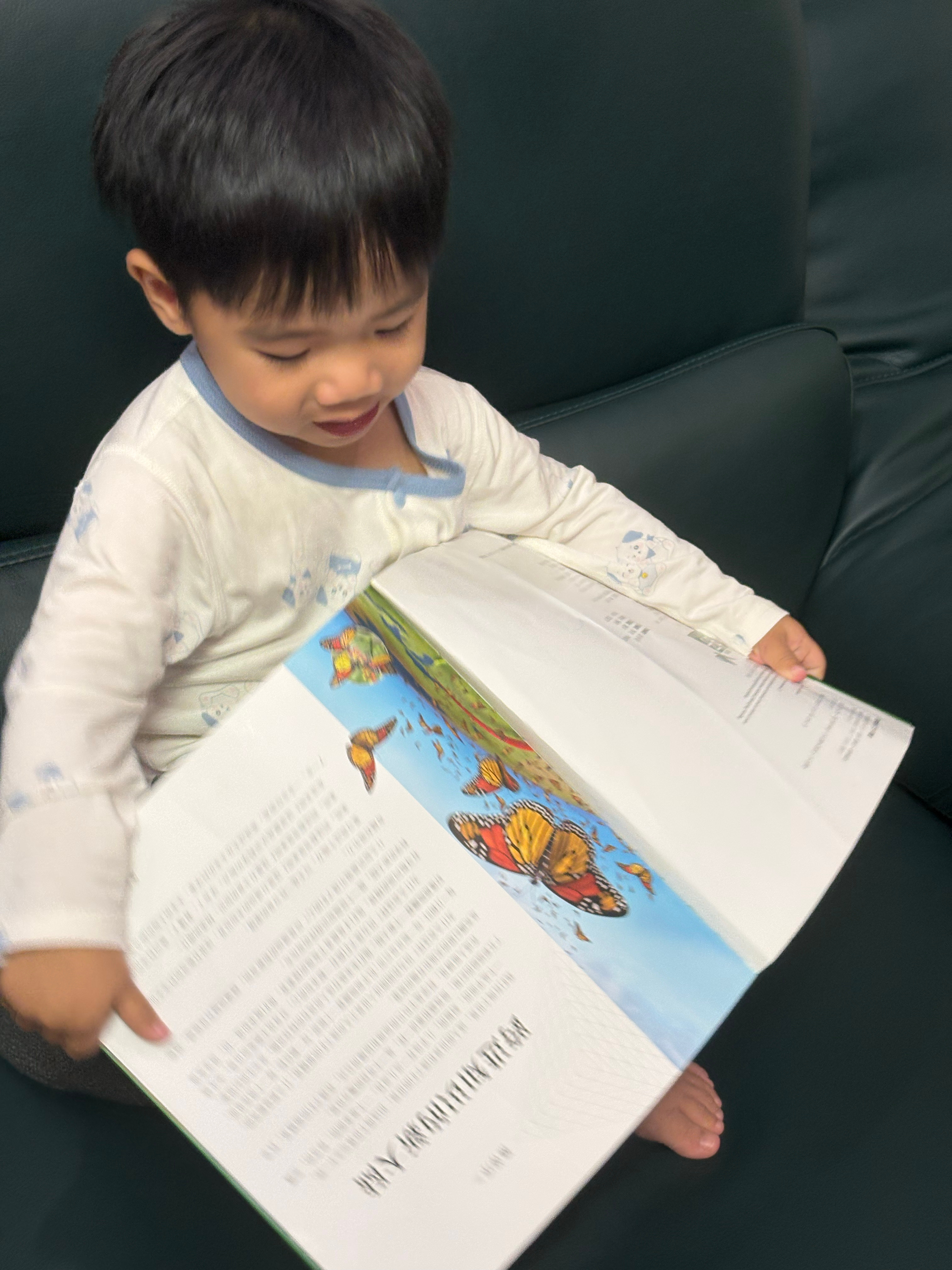 哈哈，这本书救我命，能看很久，如果是有声书，可以玩一个多小时…那非常爽。 