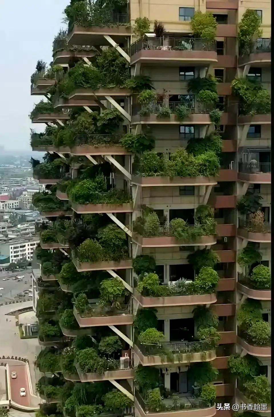 第四代住宅。把森林装进房子！
这样的房子你喜欢吗？