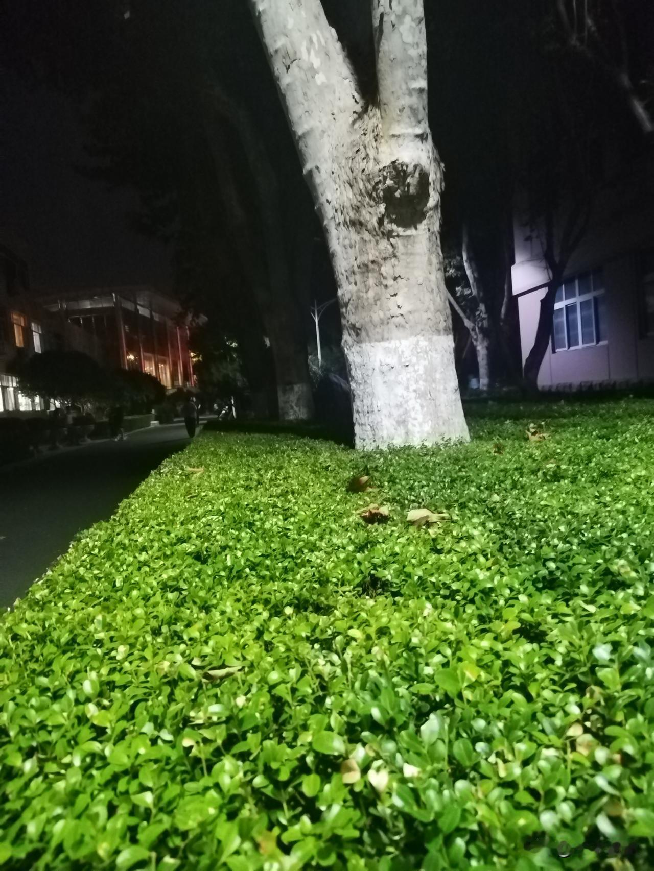 真是服了，给高中生点杯奶茶，下单三次才点成功。

第一次根据高中要求，去冰，加小