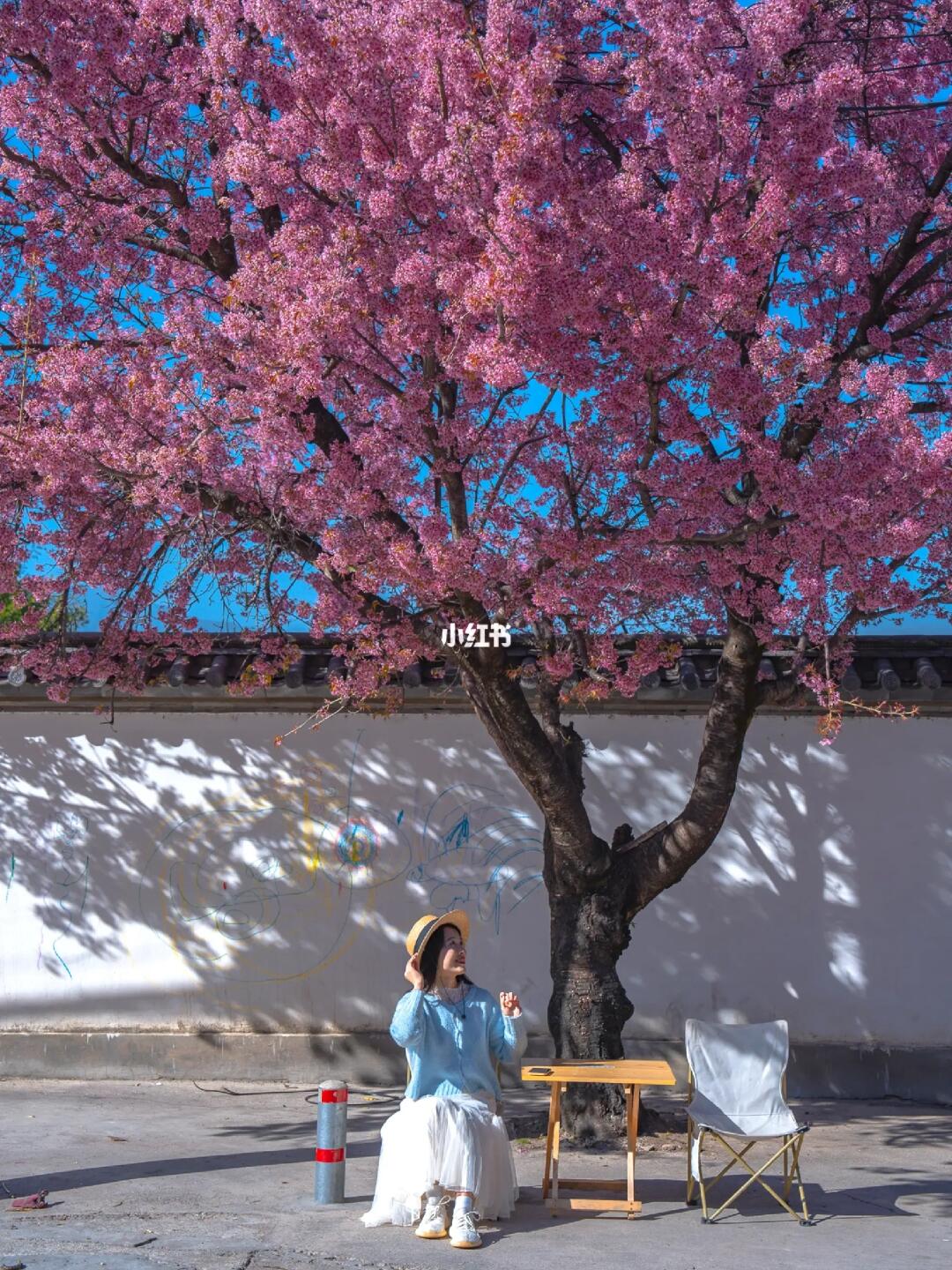 为了这9张照片，我特意飞了一趟大理！