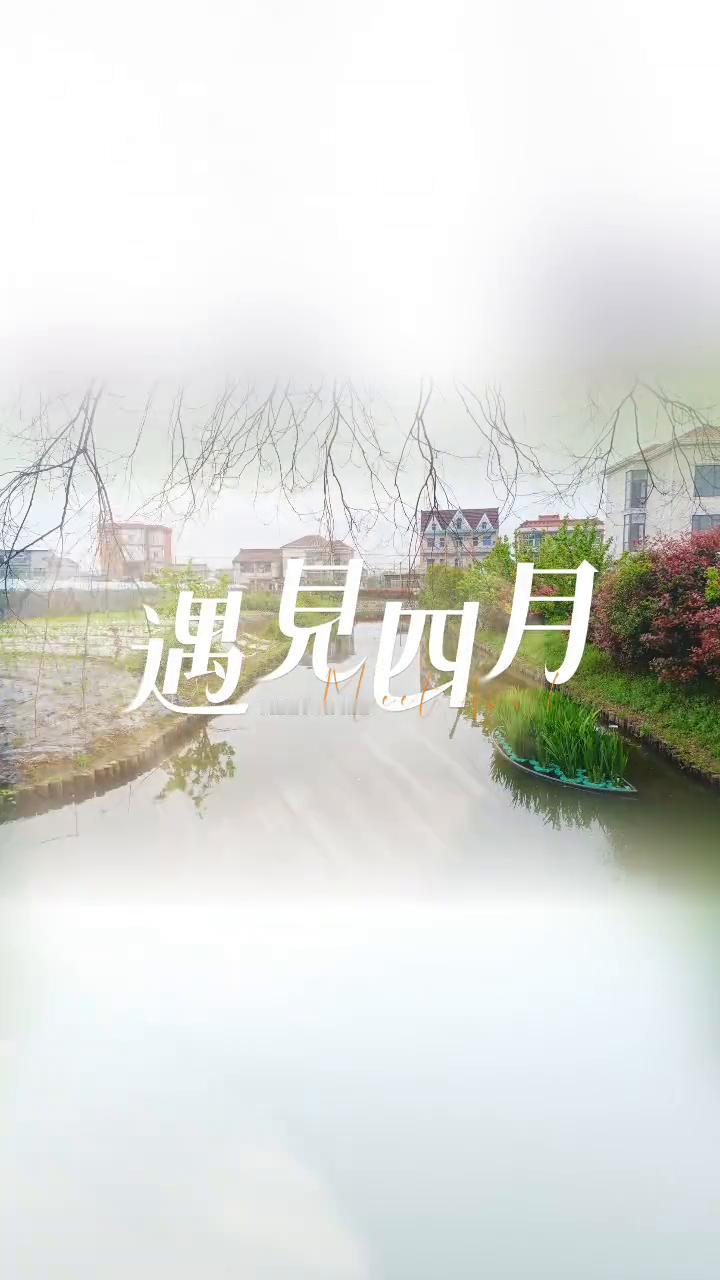 遇见四月。
遇见四月。