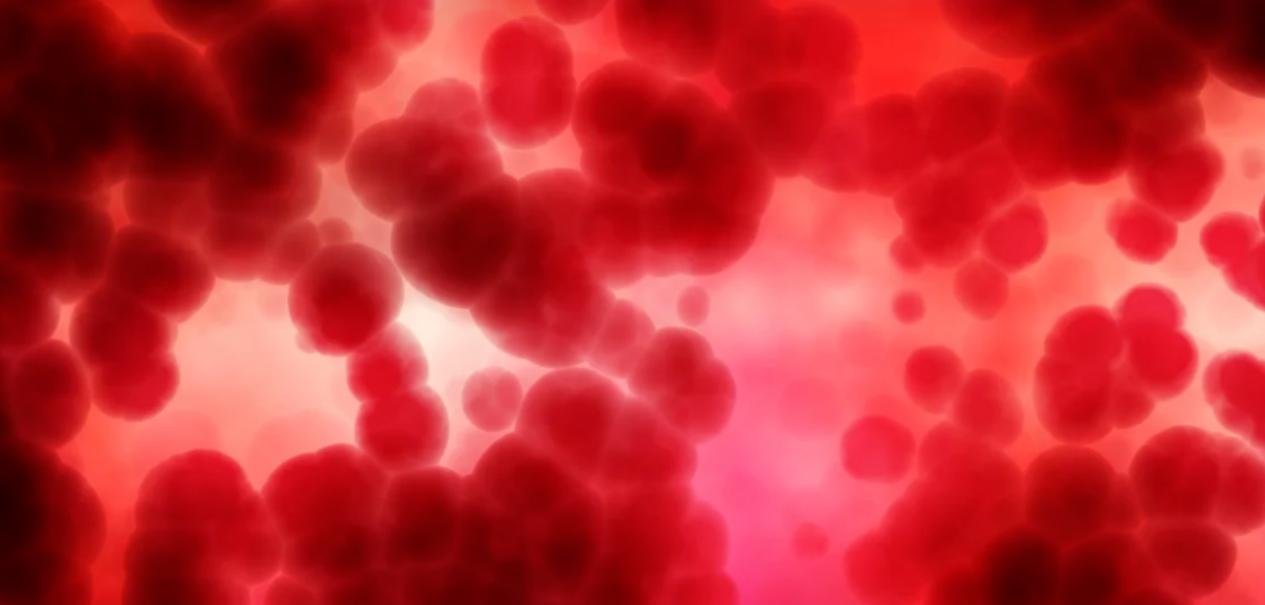 血液病不会无缘无故“赖”上你，重视这2个原因，你会离它远远的！

想让血液病不要