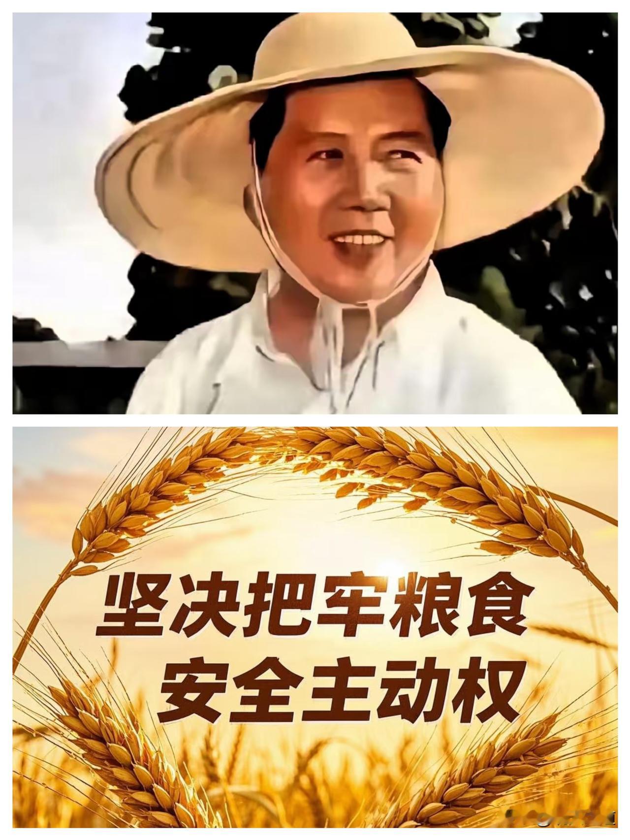 现在再看“以粮为纲，全面发展”这八个字，哪只是句过时的口号啊？分明是伟人把老百姓