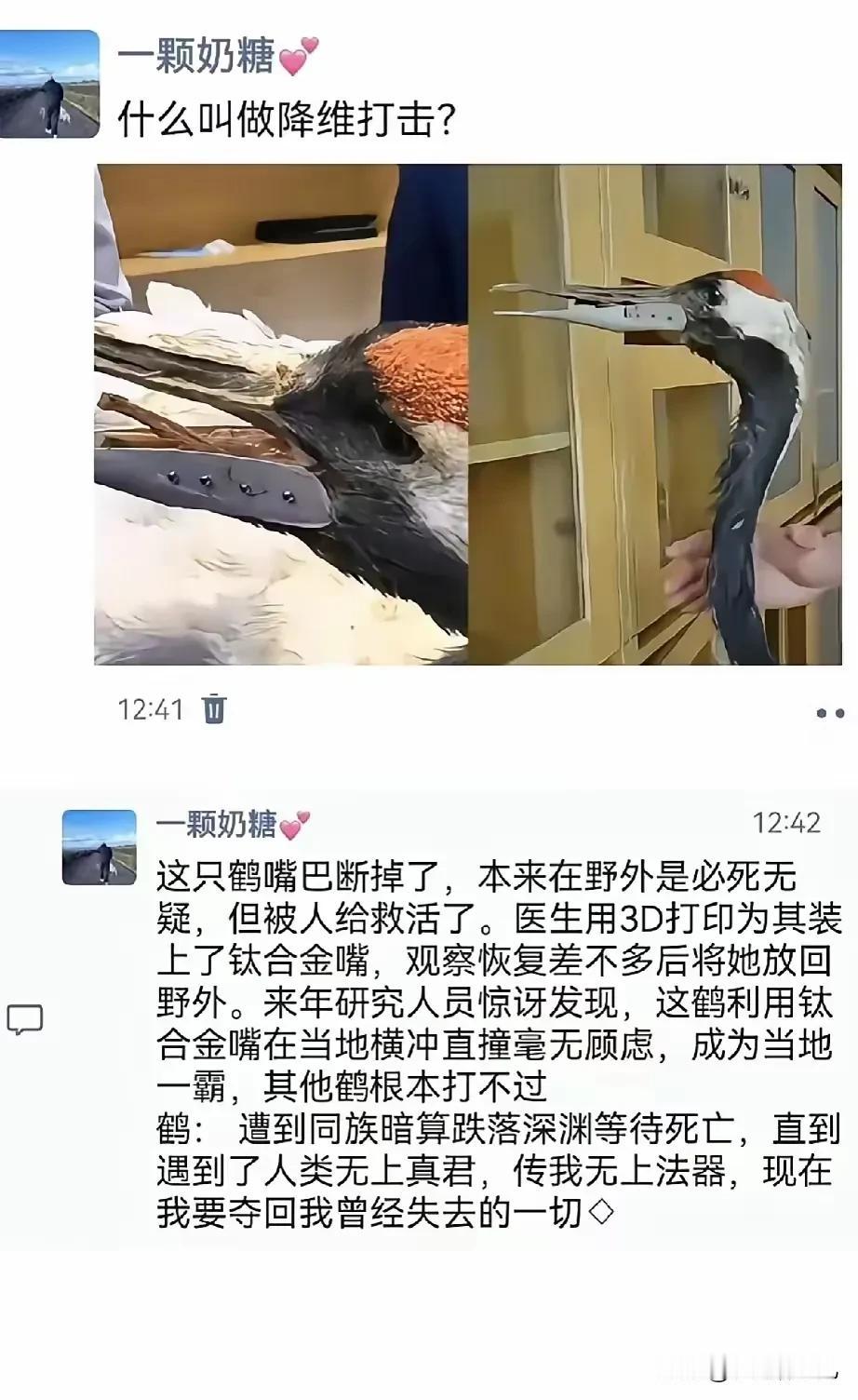 果真是天选之鹤啊，断嘴又能怎样，掉下悬崖是真能捡到武林秘籍的，自此练就无敌神功，