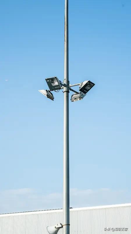 啥样的竹子能火到有6亿阅读量？浙江绍兴新昌县一棵竹子做到了。它被称为“竹坚强”，