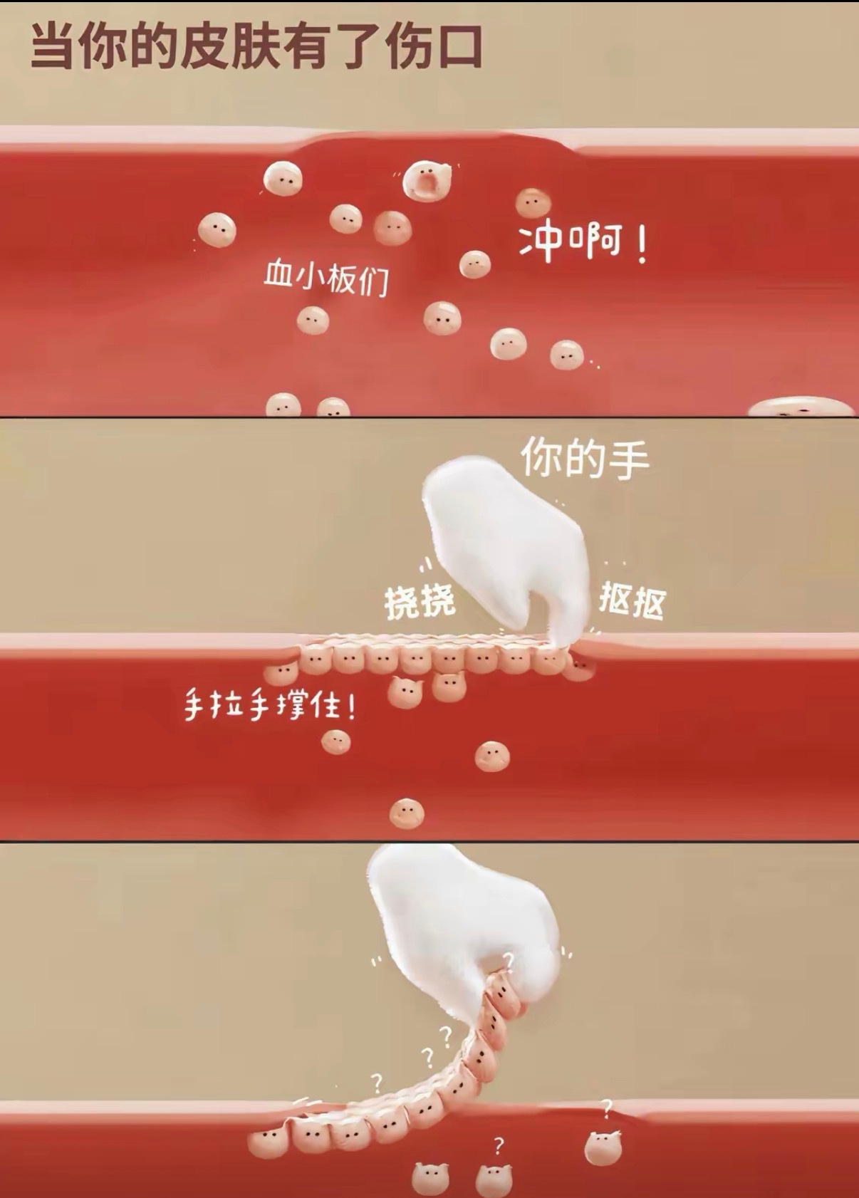 血小板：不是，他有病吧？