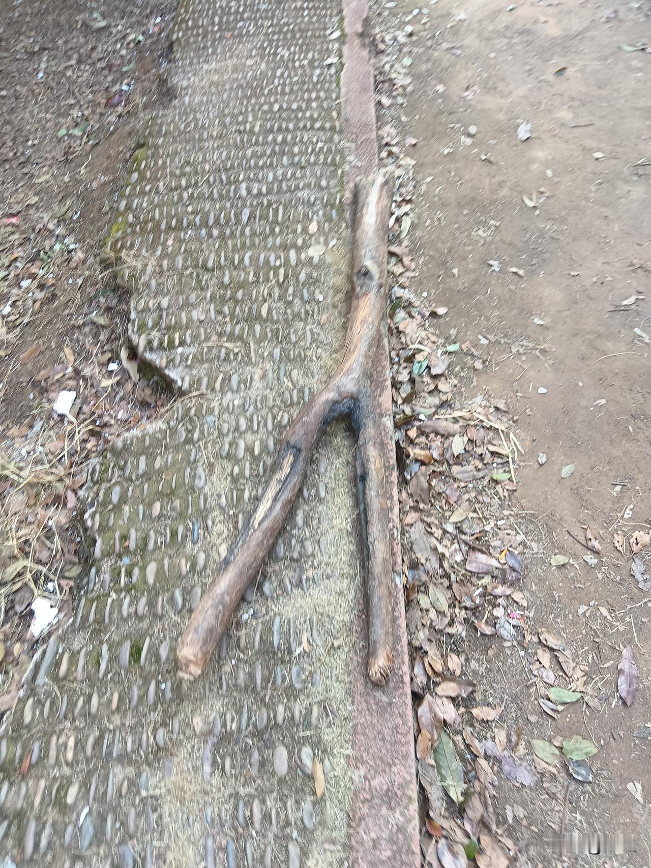 三亚通报的非营运司机诱导消费案，4道海鲜消费近1900元的细节刺痛人心，"黑车揽