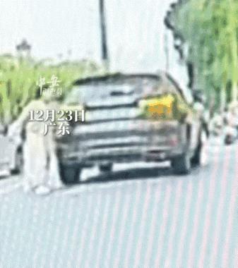 笑不活了！广东，一男子早上开车去上班，突然前车打着双闪停下来，男子刚有些不耐烦，