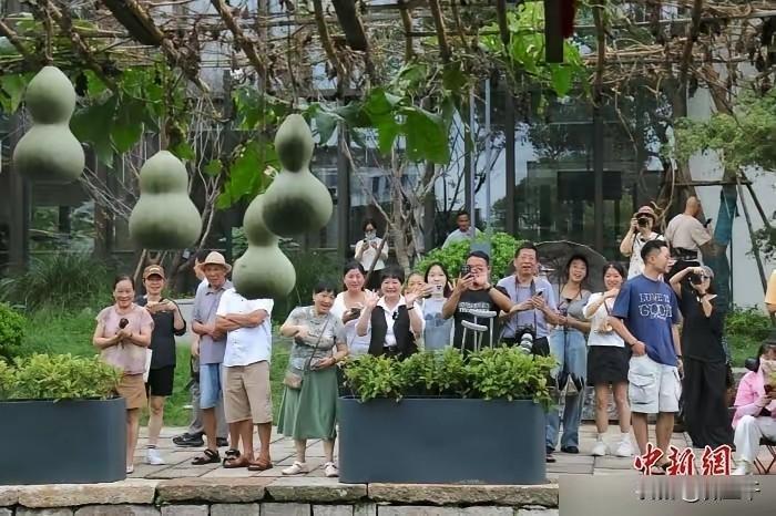 可惜了，只能说，绍兴文旅缺少统揽大局的人。

先看图1，这是正规媒体专门从老爷子