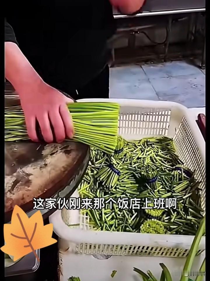 该说不说，真的不去干不知道，一去干吓一跳！

老年大学有个朋友，他退休了，说老不