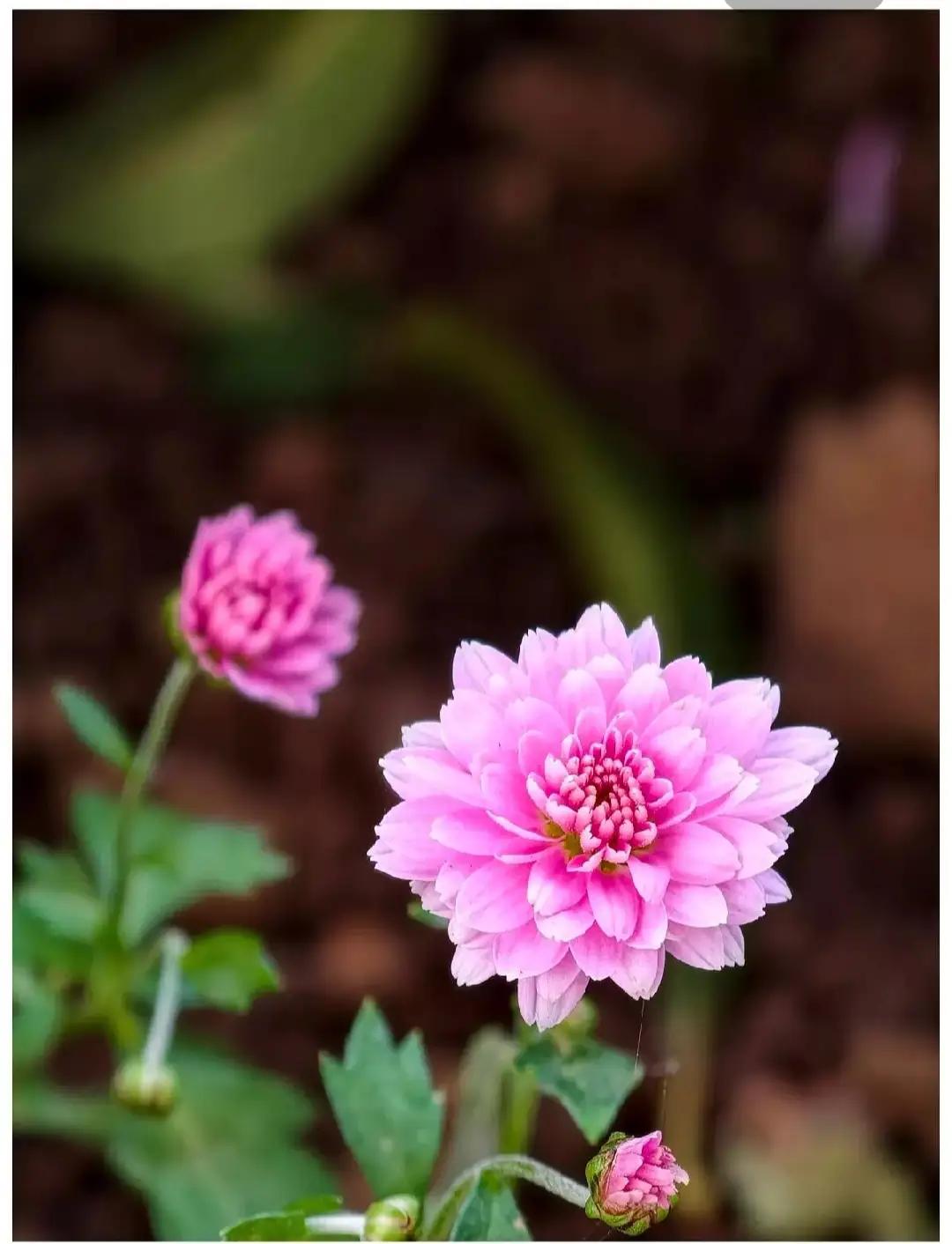 在这个五彩缤纷的世界里，最令人感动的，莫过于那份真挚的情感。有人说，世间最珍贵的