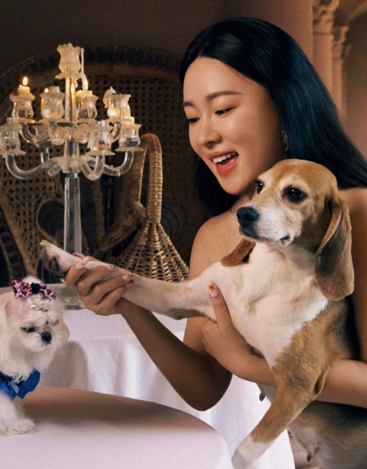 霍思燕爱犬在意大利夺冠当初看她救实验犬珍珠给我哭的稀里哗啦，现在又拿下国际赛场的