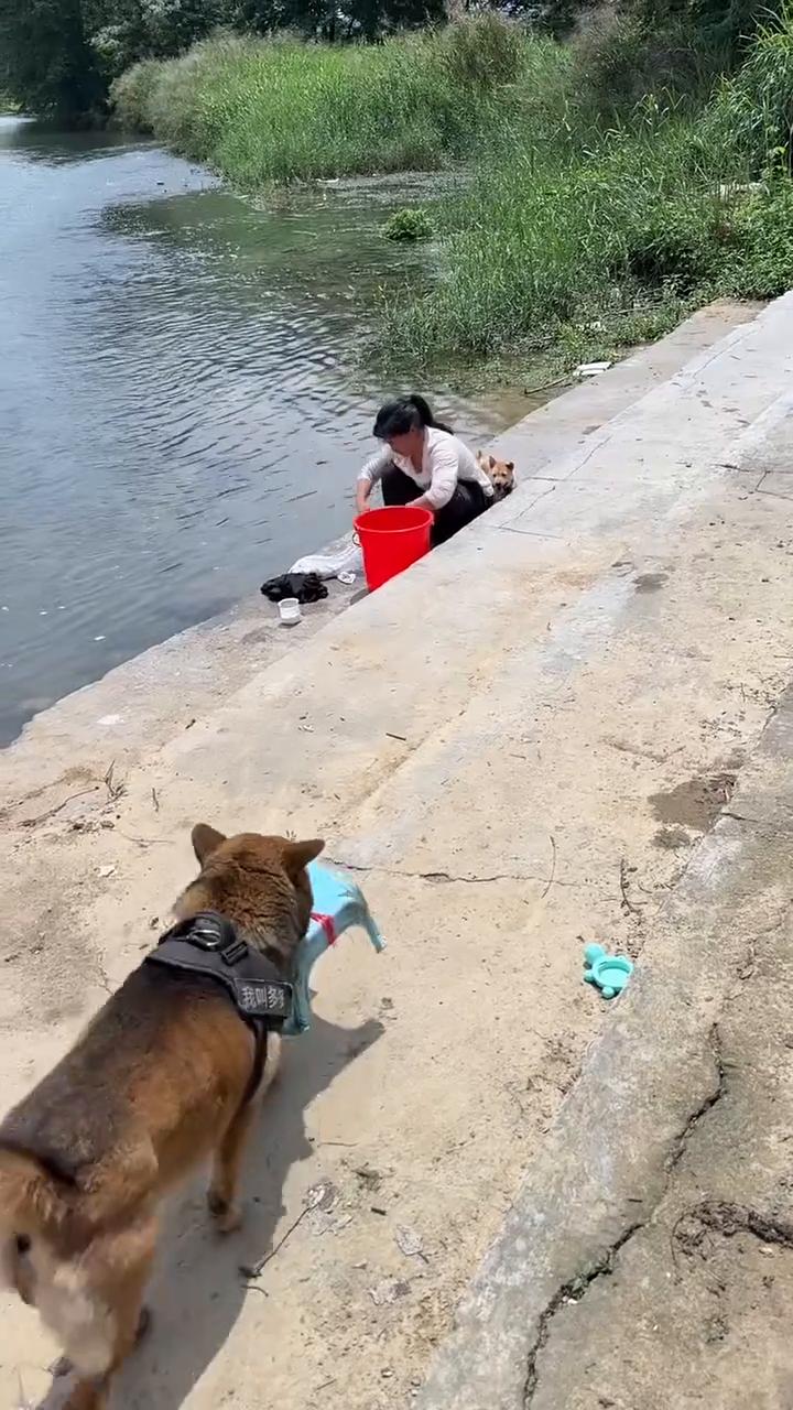 主人，休息一会，坐凳子不会累，等会才洗。听到没有？天气太热，把小多多带回去。