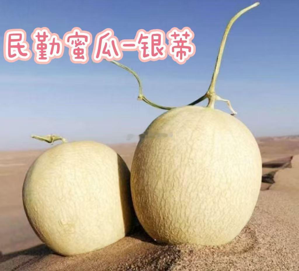 康熙年间发生过一场"蜜瓜外交风波"，而主角正是民勤蜜瓜。  根据《甘肃通志》和《