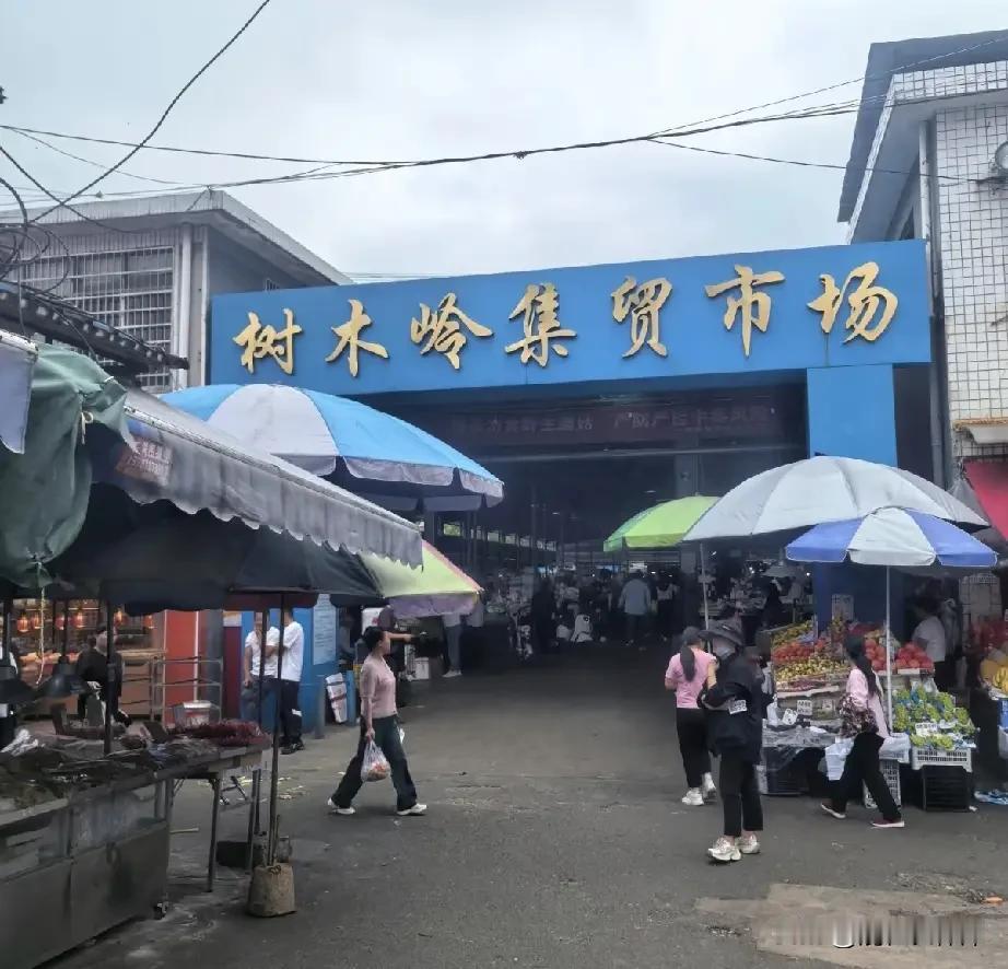 打卡长沙最热闹的城中村！
位于长沙二环线旁的树木岭，这里有一个菜市场，因为有地铁