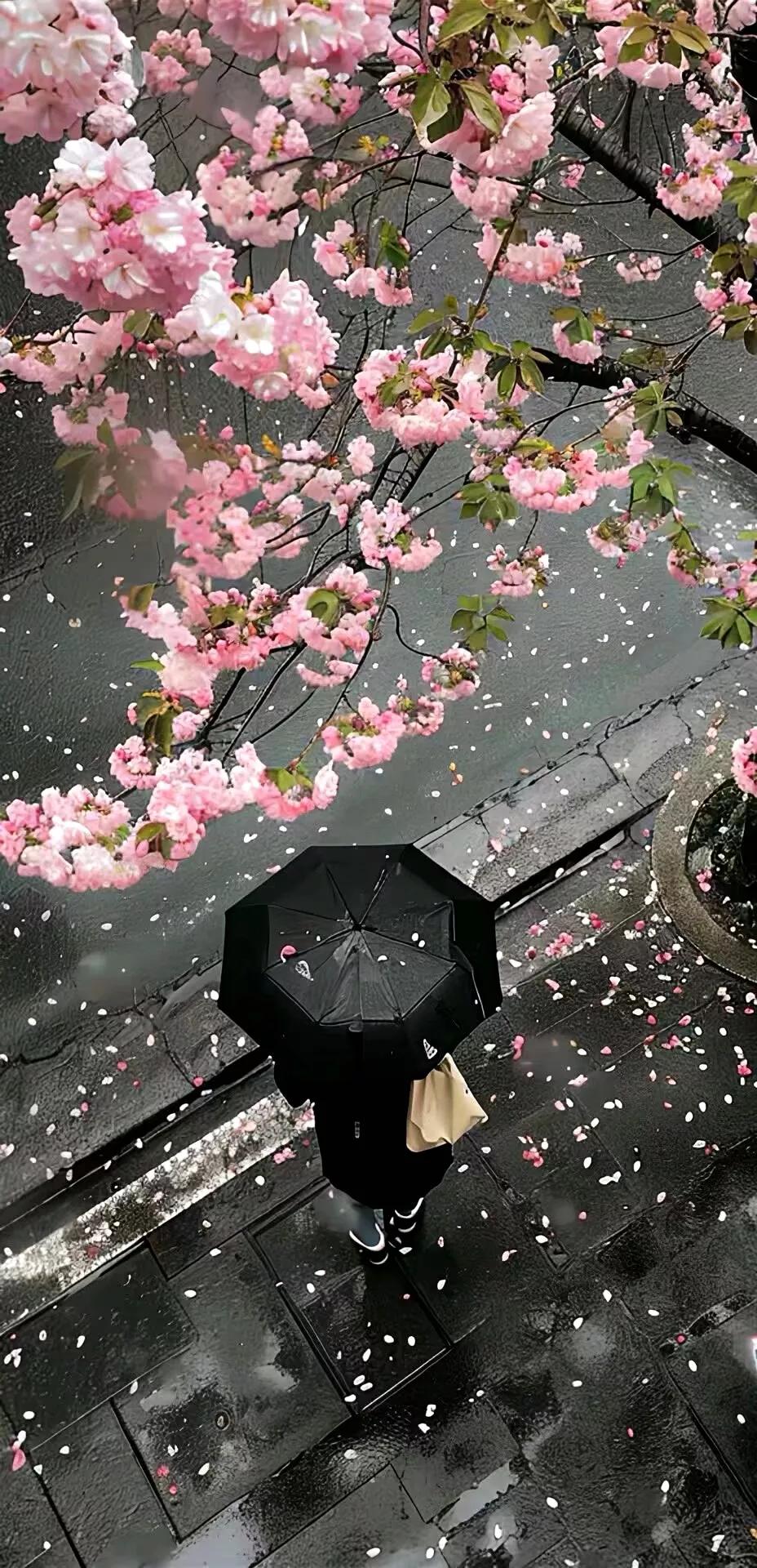 自己觉得自己写的挺好，但实际不值那200元，不应该管同学要，还给了同学面子。写的