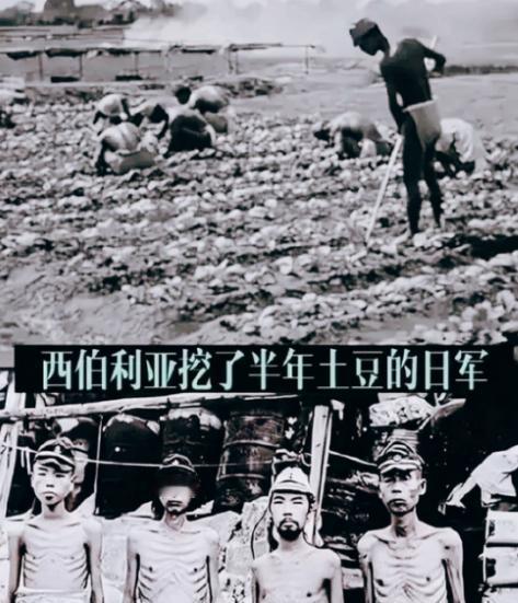 1945年，日军被苏联红军被押往了寒冷的西伯利亚。后来，活下来的日军战俘哭着回忆