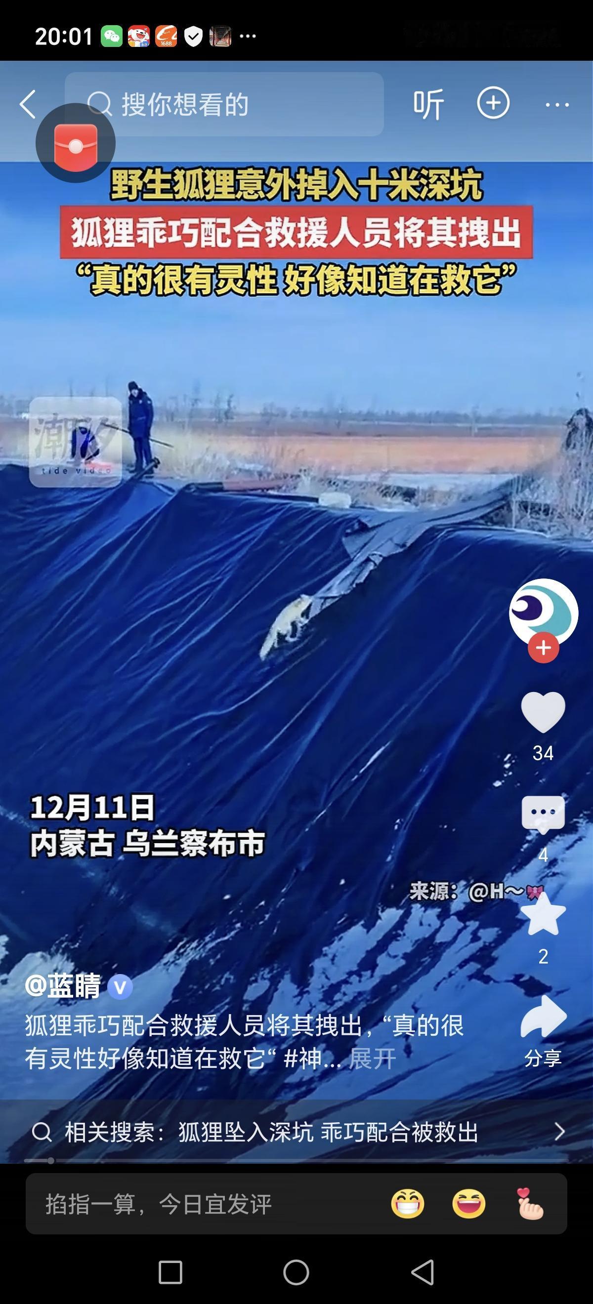 野生狐狸意外掉入十米深坑，乖巧配合救援人员成功获救

12月11日，内蒙古发生了