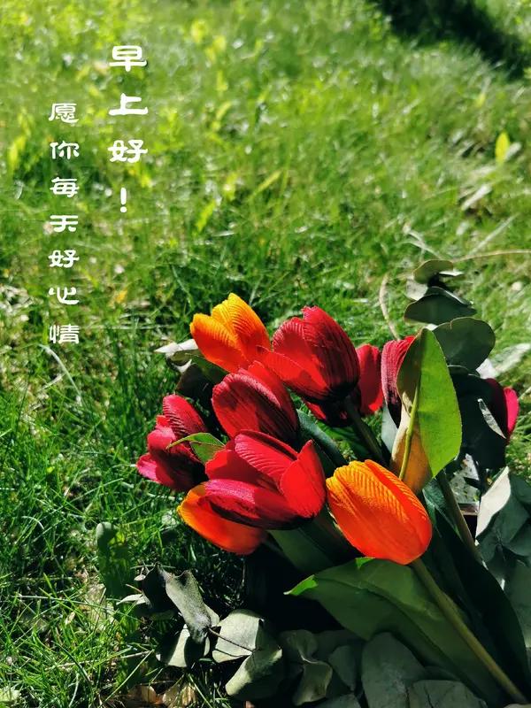 清晨如此美好，
问候按时送到；
愿你心情愉快，
祝你一切安好！
让你守住健康，