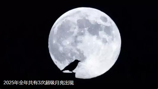 11 月 5 日 21 时 19 分的这轮满月，可是今年离地球最近的一次 “宇宙