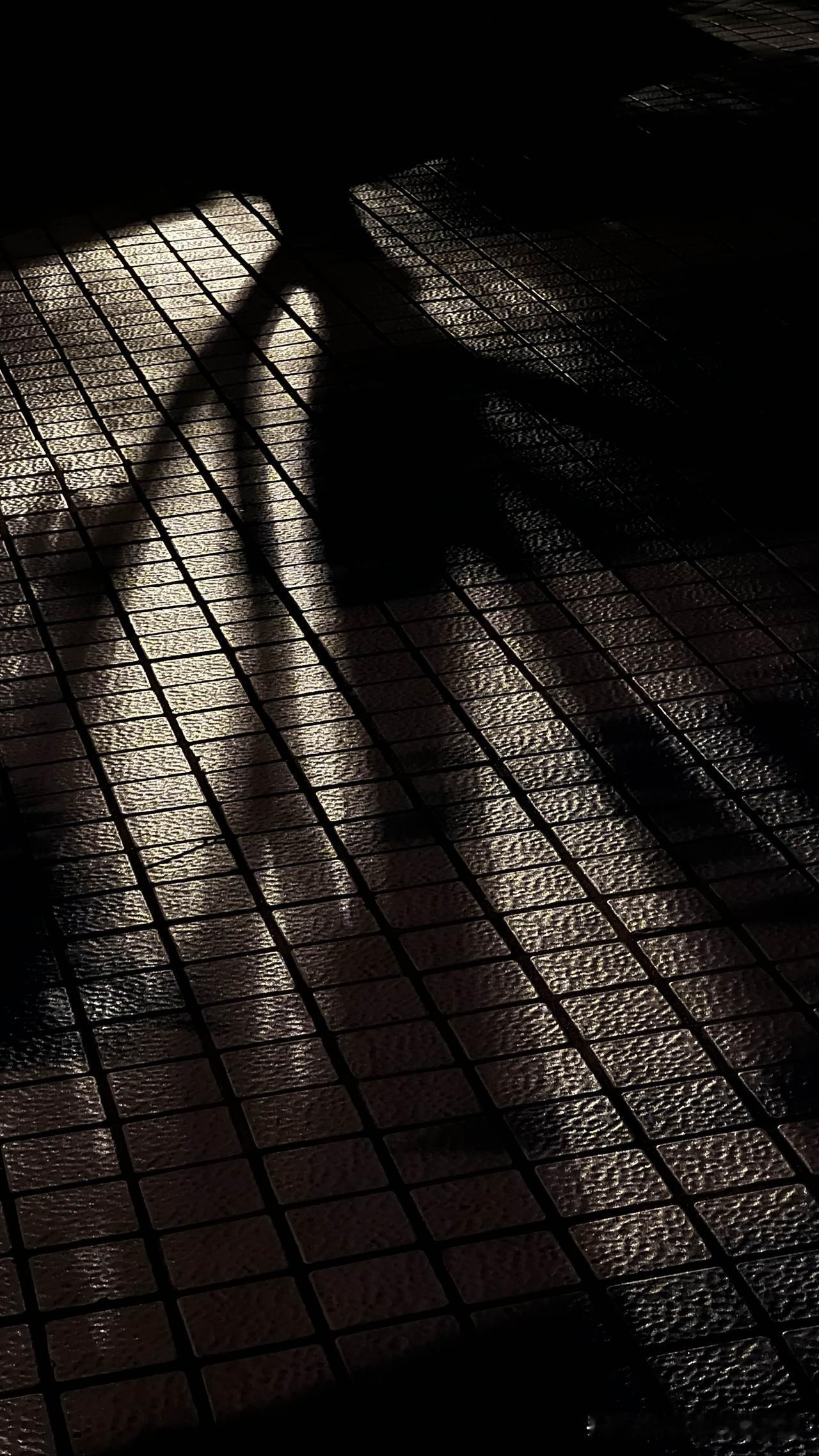 立秋这天，天还没大亮，奶奶就在院子里摆弄她的竹匾了。我揉着眼推开窗，她正把新摘的