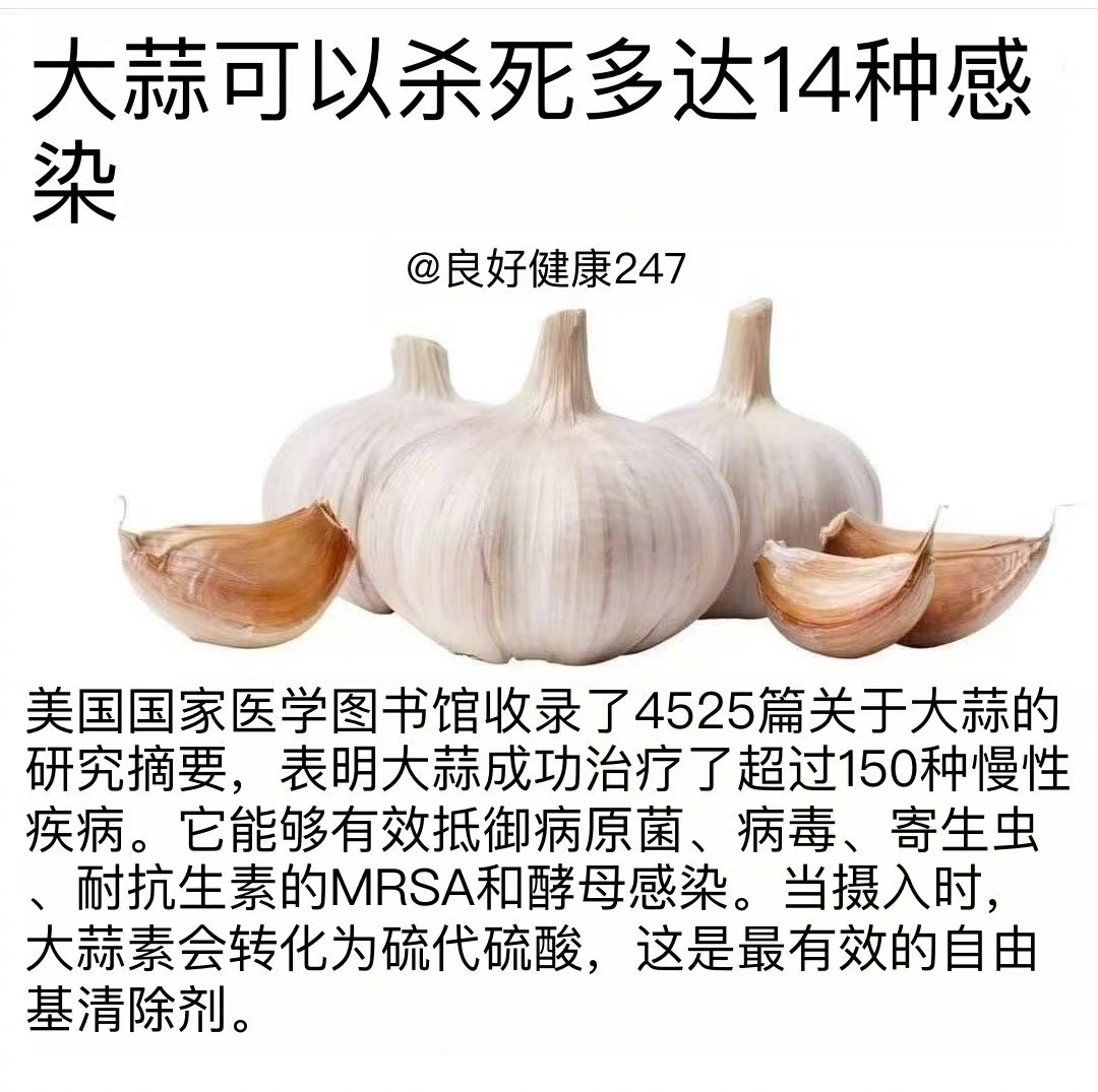 v评智库  大蒜真的这么神奇吗？——俺生于山东，从小喜欢吃大蒜，没想到生病没挂掉