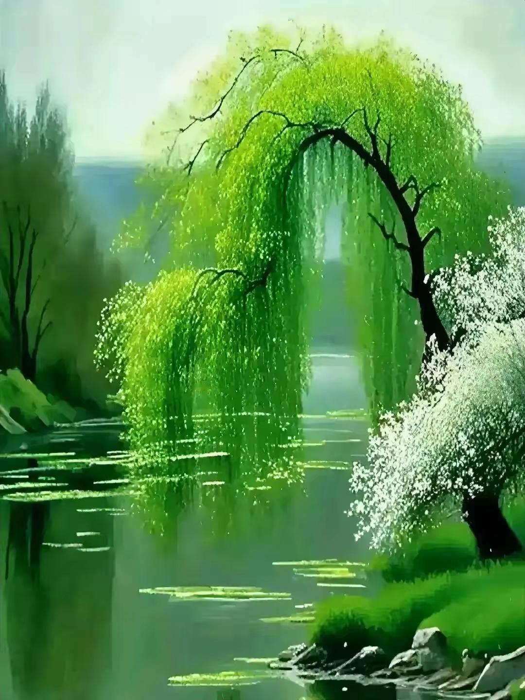 静谧河岸，绿意盎然，白花盛开，自然之美尽收眼底。🌿🌸💦