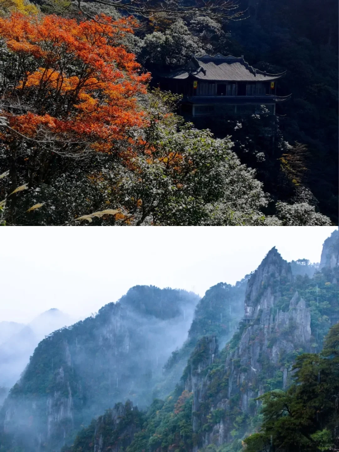 人间醉美不过秋，看秋就来羊狮慕❗️