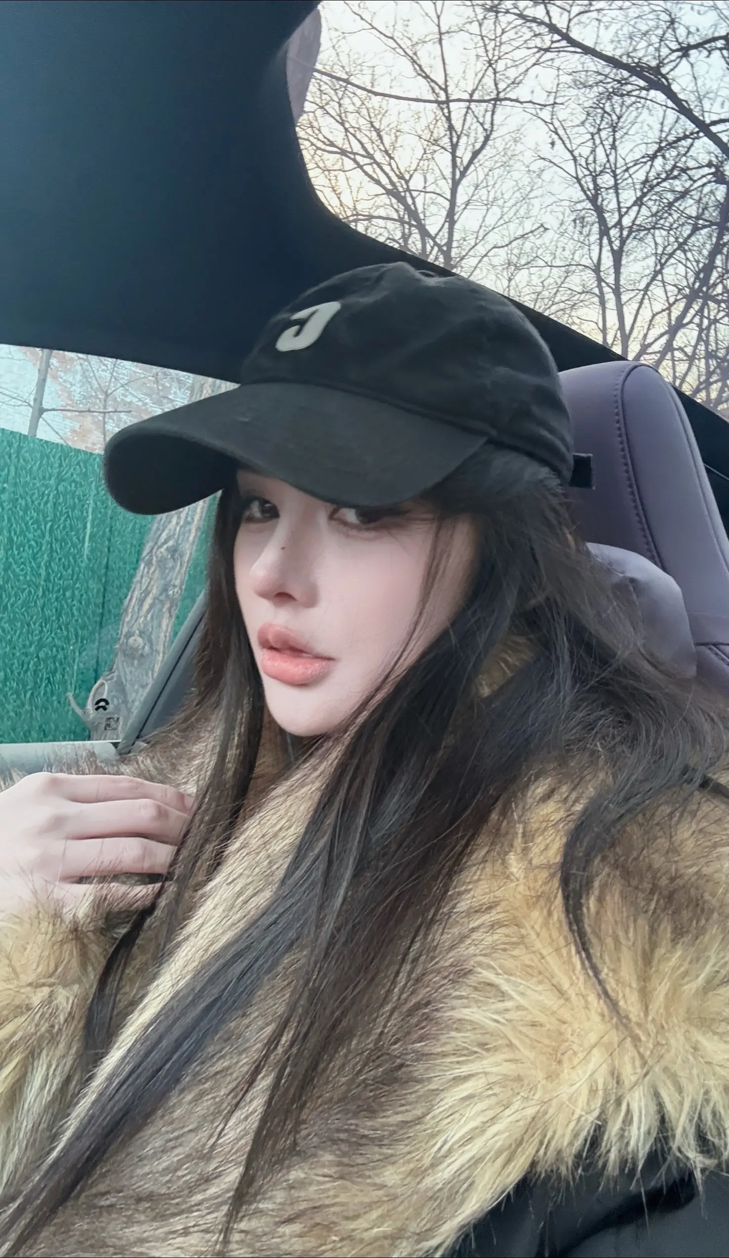 去年皂片今年发