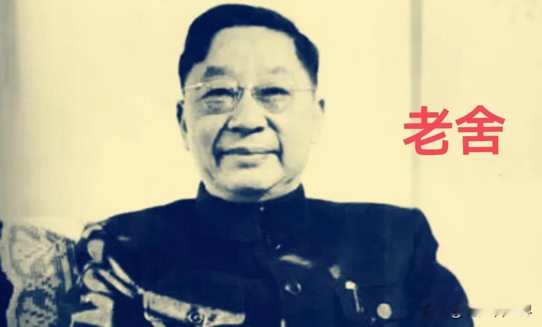 这是一副以作家笔名巧妙入联的对联。同时老舍、巴金，均为四川籍文学大家。

上联“
